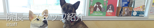 院長・スタッフ紹介